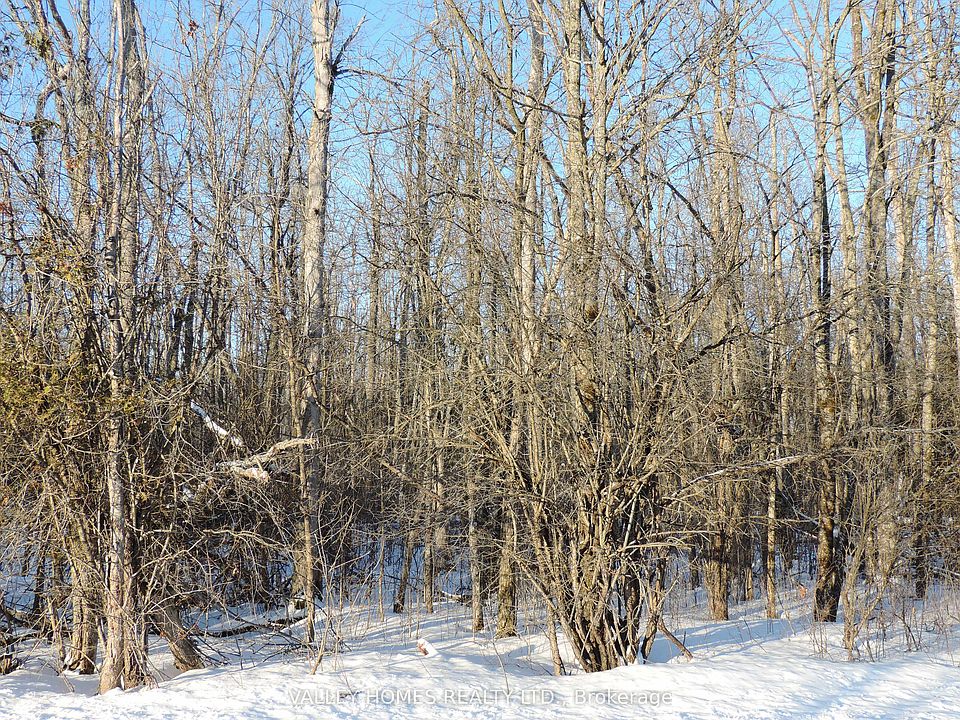 1st image of L1 Harding Rd #297