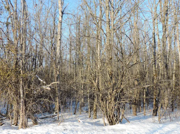 L1 Harding Rd #297, Lanark Highlands, ON K0G 1K0