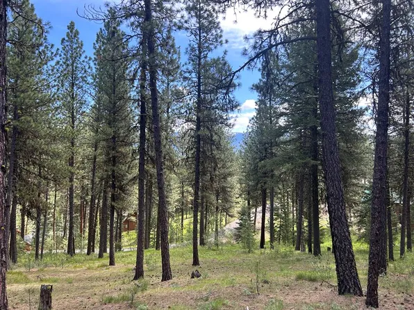 Tbd Syringa Dr, New Meadows, ID 83654