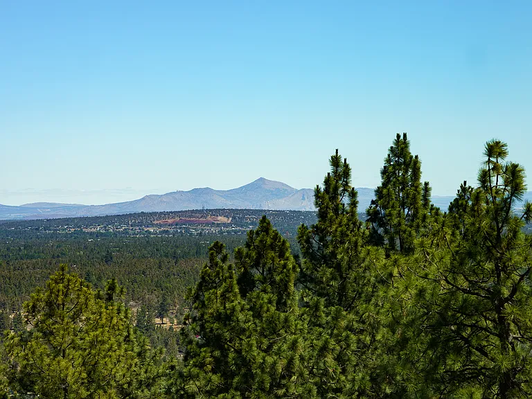 3345 NW Panorama Dr — Photo 64
