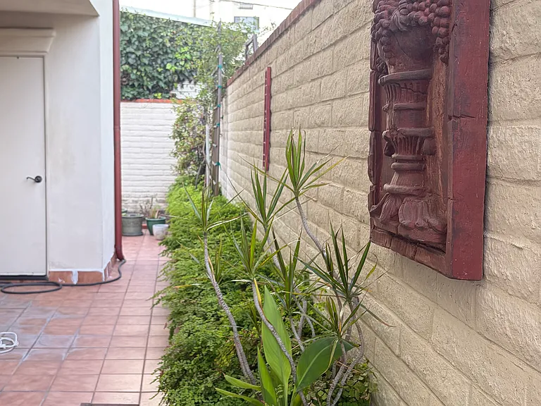 Side yard