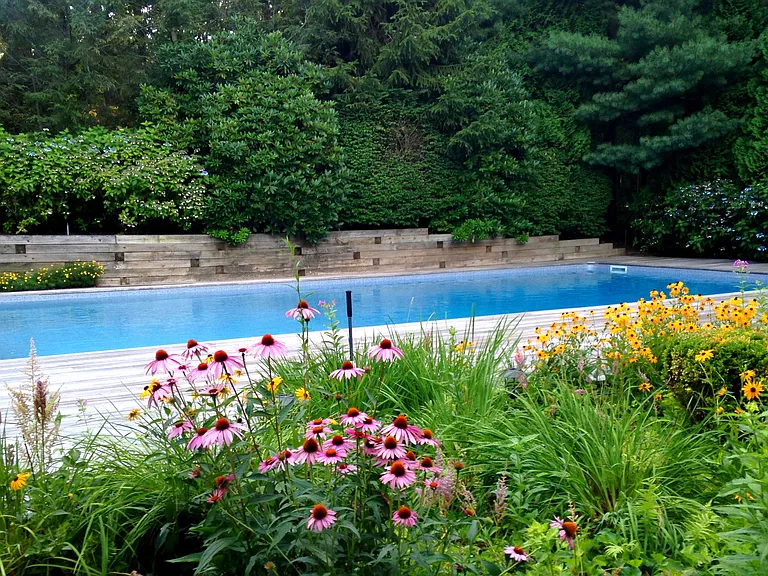 123 Wilderness Trl — Photo 4