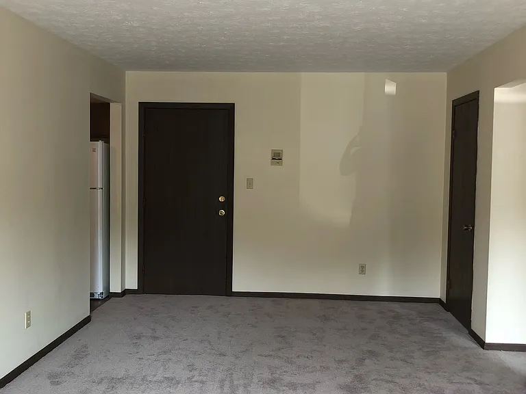 285 Ellis Ave — Photo 6