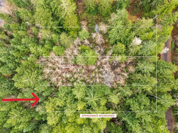 0 Lot 10 W Go Onna Drive, Quilcene, WA 98376