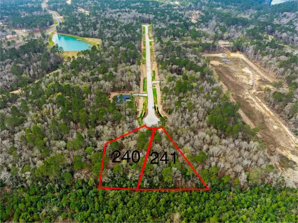 240 Hollow Hill Dr, New Waverly, TX 77358