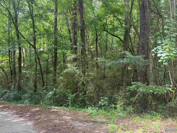 11 Davis Pl, Gadsden, AL 35904