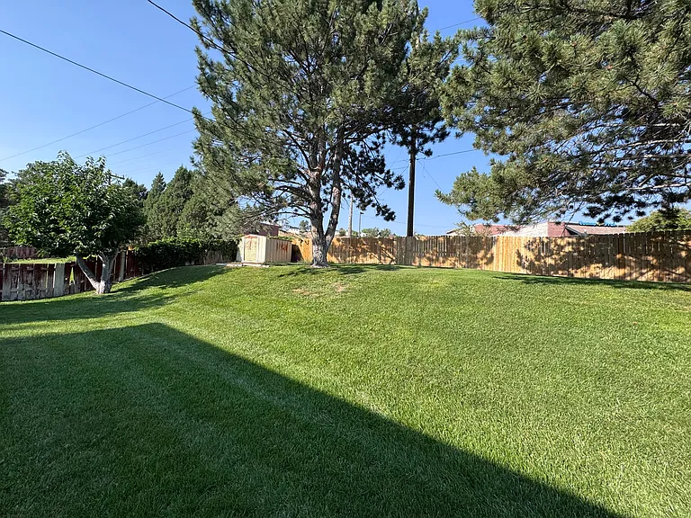 950 Taney Ln — Photo 19