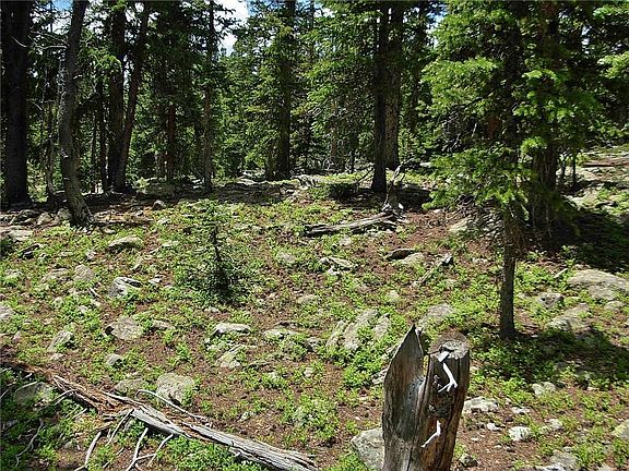 4th image of 125 Silverheels Pl