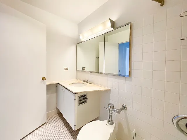 2800 N Lake Shore Dr #2310 — Photo 9