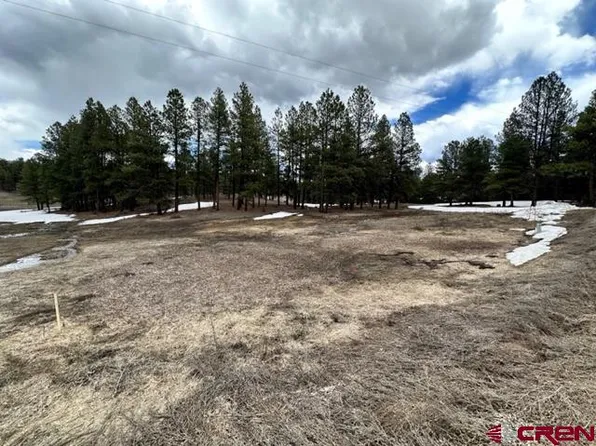 423 Beaver Creek Drive, Bayfield, CO 81122