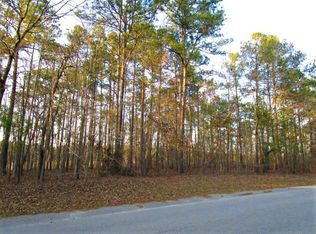 LOT 54 Sorin Cir LOT 54, Santee, SC 29142
