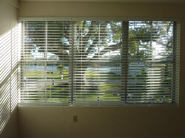 Lake view from living room windows.