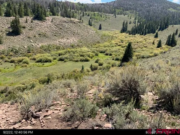 TBD Sandy Road, Powderhorn, CO 81230