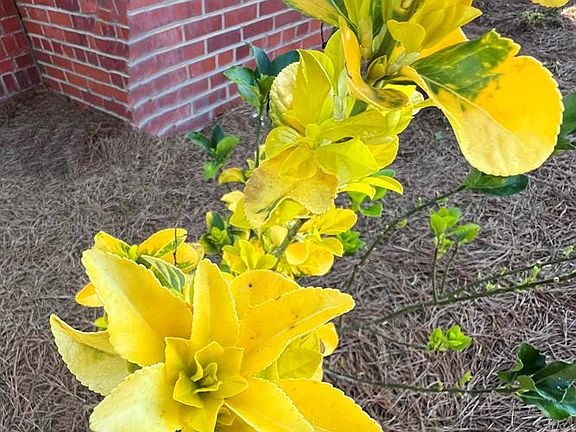 38th image of this home