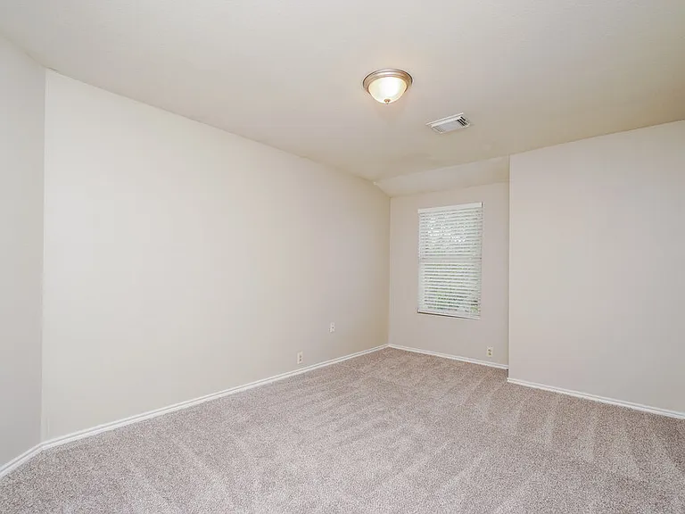 4934 Orchid Star — Photo 15