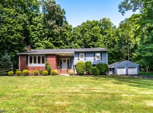 6 Campo Rd, Randolph, NJ 07869