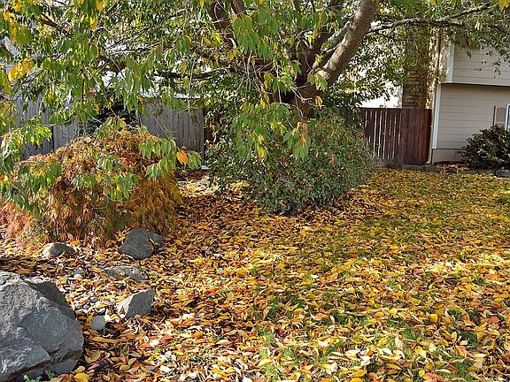 2nd image of 1110 17th St NW
