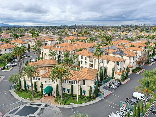250 Palm Valley Blvd #262101