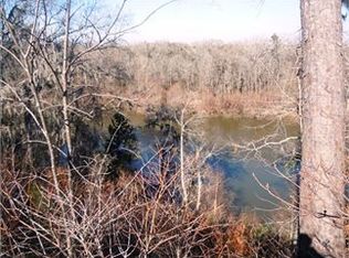 747 Coursey Landing Rd, Newington, GA 30446