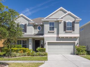 19305 Water Maple Dr, Tampa, FL 33647