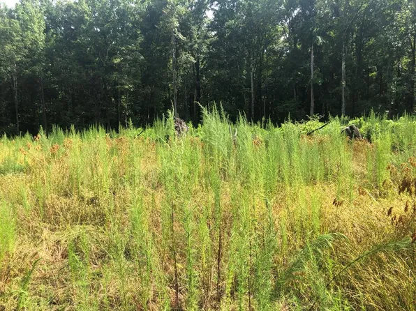 1130 Tookie Doo Ave, Elgin, SC 29045