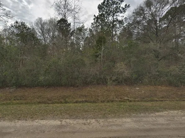 10135 Nikolich Avenue, Hastings, FL 32145