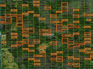 O'Old Grade Rd, Polk City, FL 33868