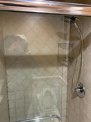 Rented by Astoria Park Realty Group Inc | media 5