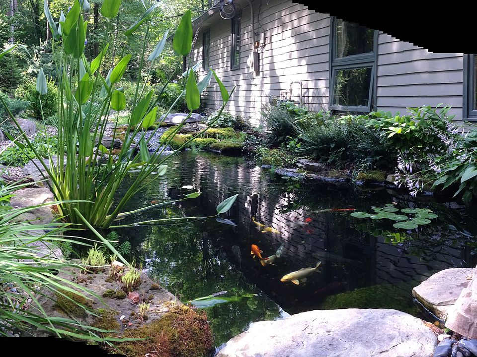 2nd image of 234 Wintergreen Hill Dr