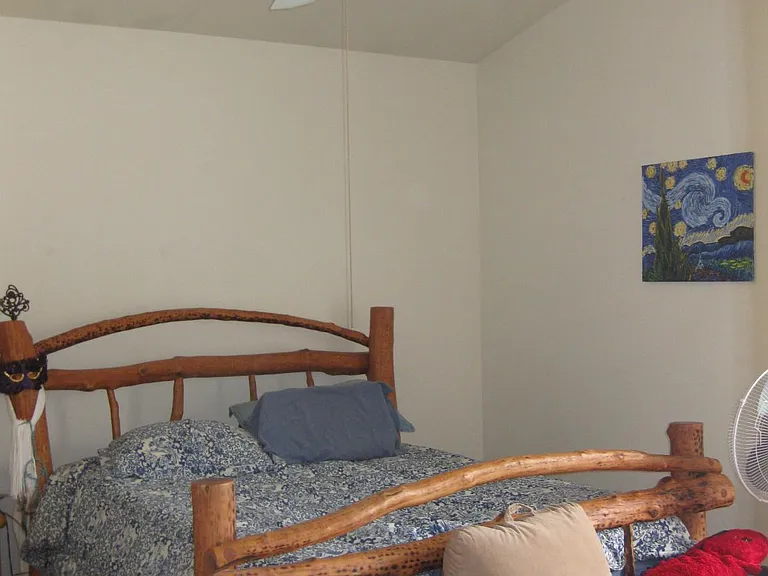 master bedroom is king sized