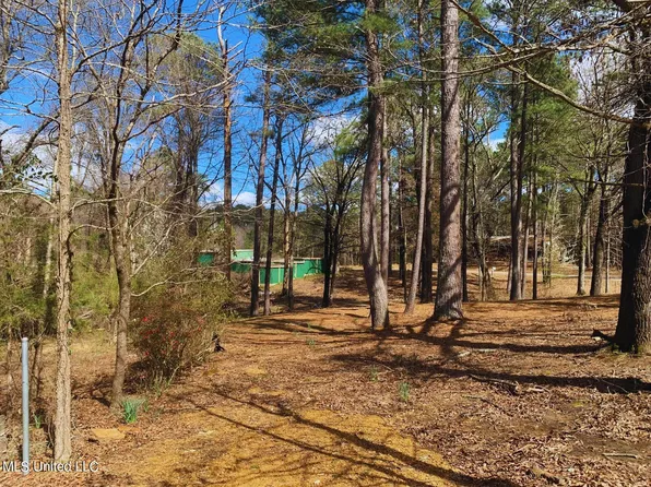 191 Evergreen Dr, Water Valley, MS 38965