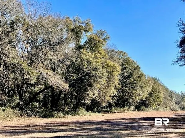 19500 Bohemian Hall Rd, Silverhill, AL 36576