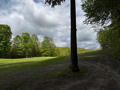 Unit 24 Forest Trl, Bellaire, MI, 49615