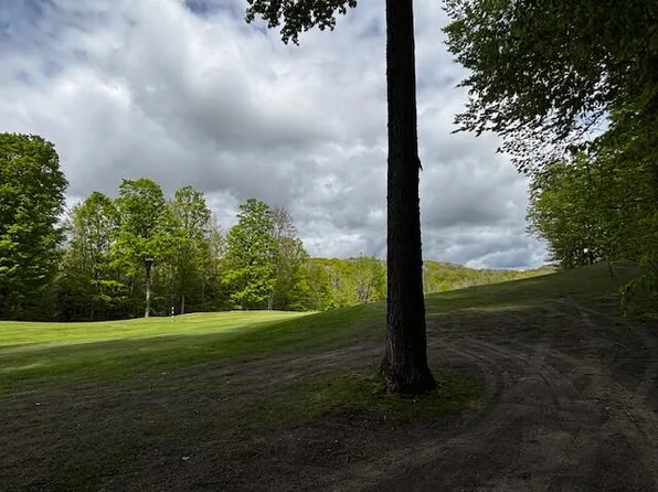 Unit 24 Forest Trl, Bellaire, MI 49615