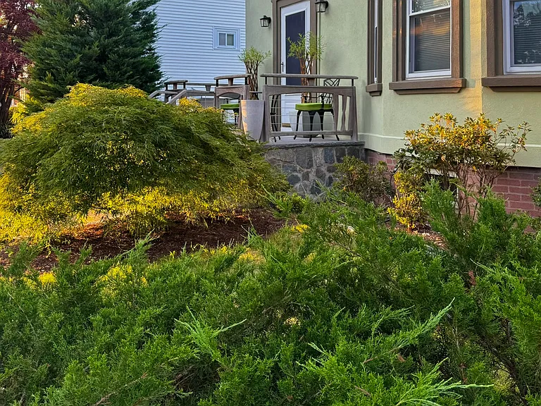 311 Temple St — Photo 5