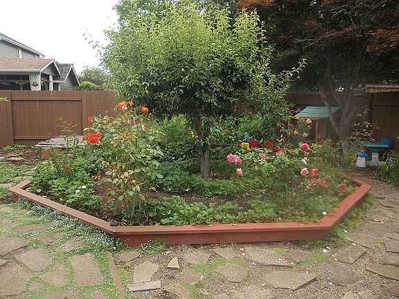 Strawberries, pears, roses