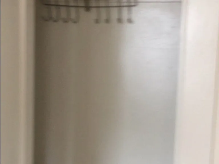 Front room closet