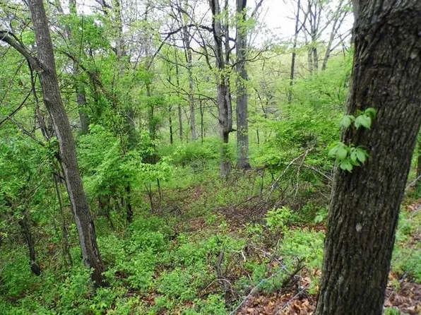Old Campbell Rd, Rogers, AR 72758