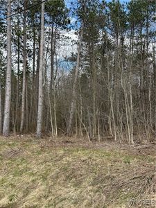 Warner Gulf Rd #6, Holland, NY, 14080