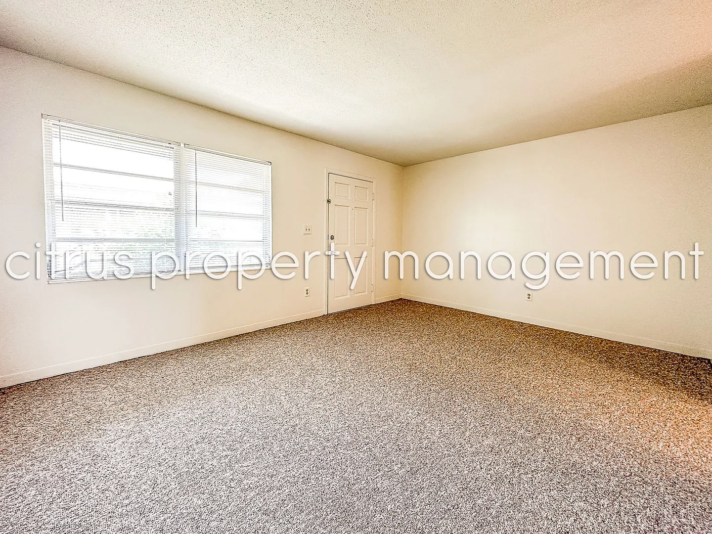 McLean Fairway 3026C — Photo 4