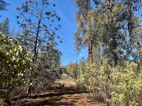 3rd image of 7 Miles Out Klamath River Rd