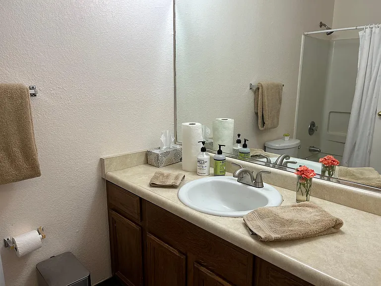 Master BA Vanity ensuite