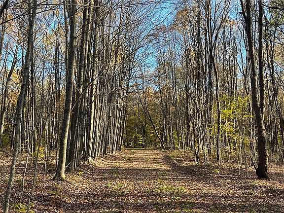 3rd image of Nys Rte Lot 98-1