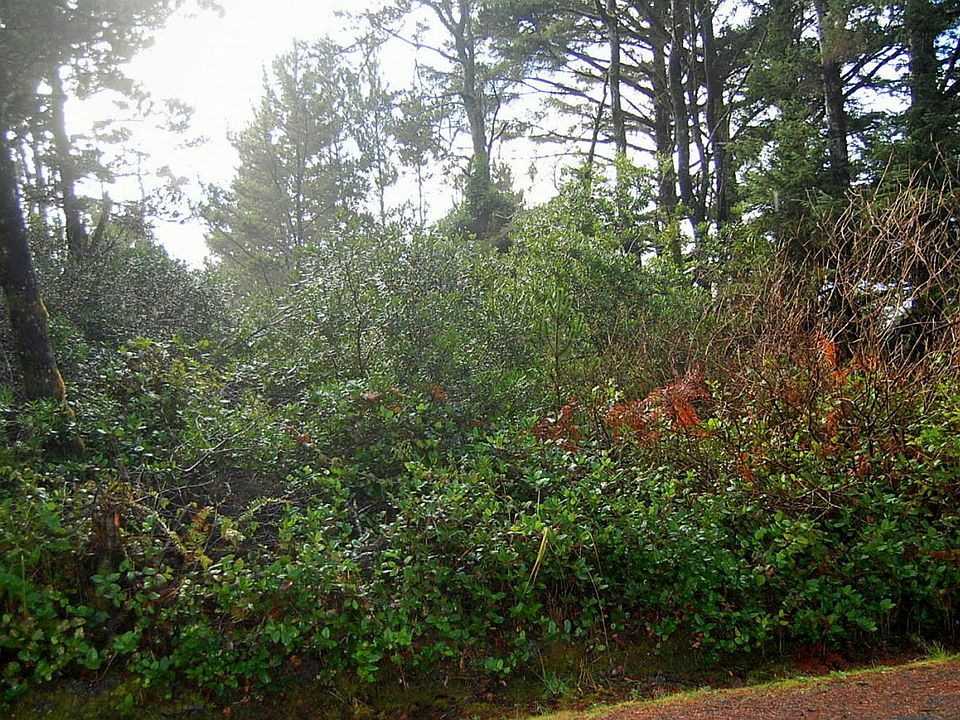 2nd image of 3400 Sea Mist Ave