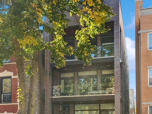 1110 N Paulina St #2, Chicago, IL 60622