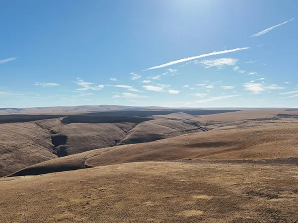 10600 Highway 206, Condon, OR 97823