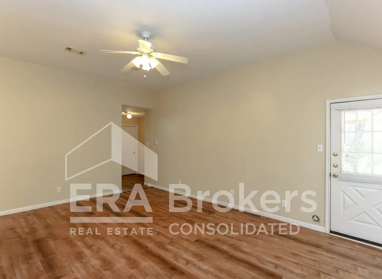 Armadillo2407 — Photo 3