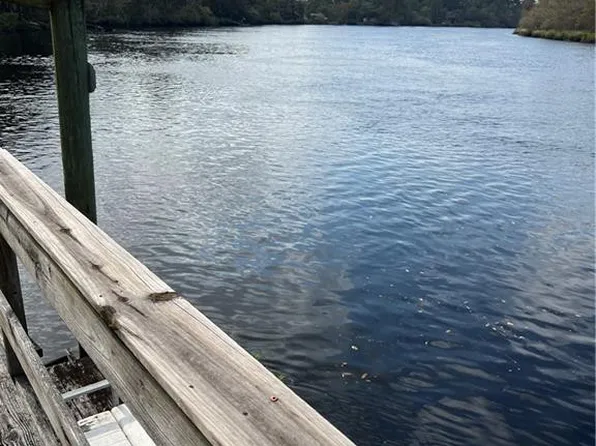 0 Settlers Bluff Rd #34, Folkston, GA 31537