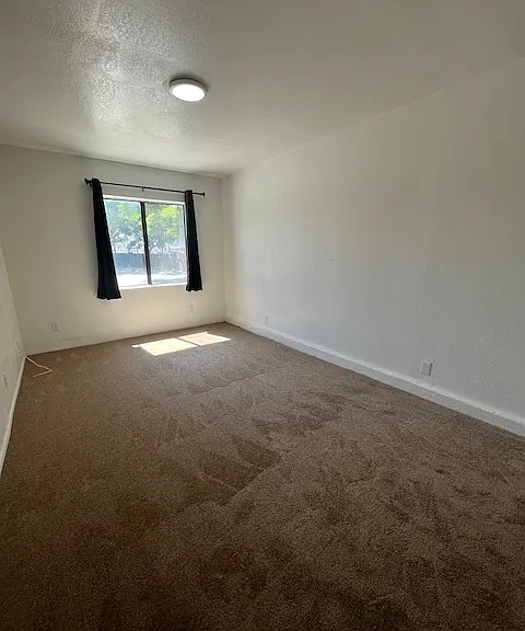 6555 Segovia Rd — Photo 26