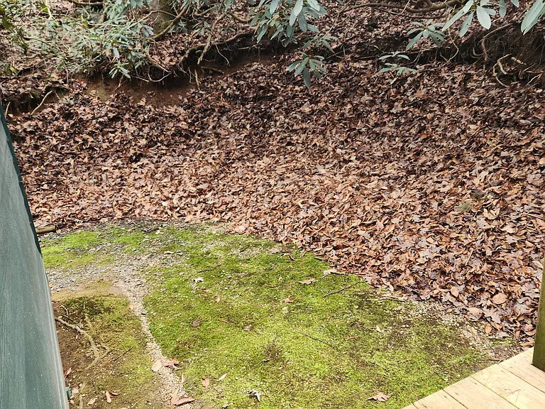 503 & 505 Fox Hollow Rd — Photo 11